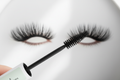 Mascara – närbild på borste & fransar